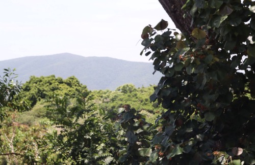 Tepoztlán Cabina | Bosque Geométrico