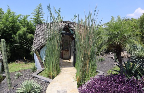 Tepoztlán Cabina | Bosque Geométrico