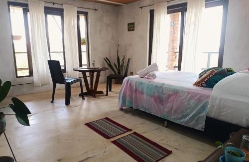 San Carlos Casa | Bosque Místico