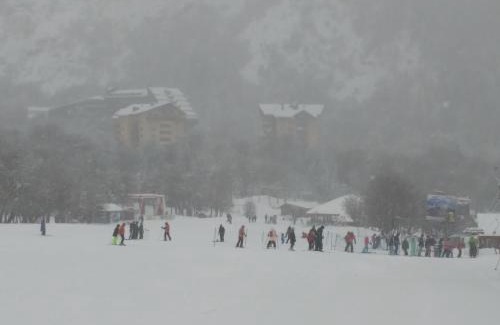 Pinto Apartamento | Bosque Nevado