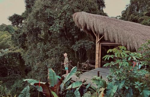 Alegrias Casa | BOSQUE SECRETO Ecolodge