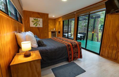 Algarrobo Cabina | Bosques de San José Lodge