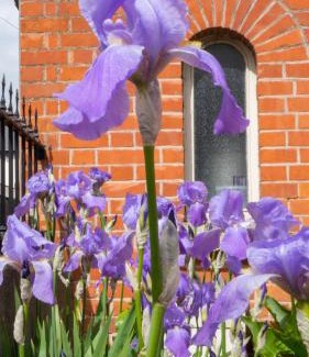Glasnevin Cama Y Desayuno | Botanic View B&B