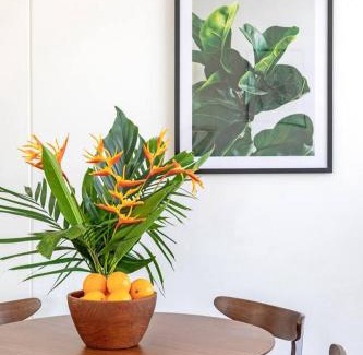 Rapid Creek Apartamento | 'Botanica Bonita' A Stylish Nightcliff Hideaway