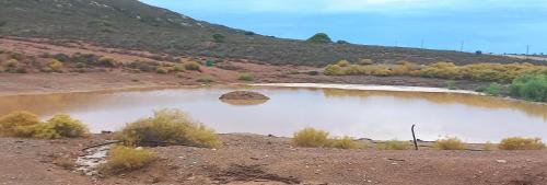 Barrydale Otro | Botterboom - Private Karoo Campsite