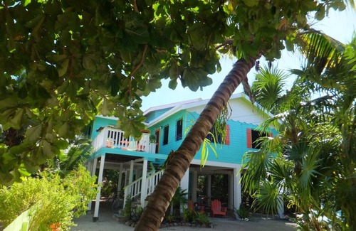 Cayo Corker Casa | Bottle Tree House