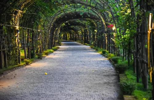 Guwahati Complejo | Bougainvillea Retreat & Spa