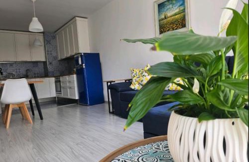 Plovdiv Apartamento | Boutique Apartment blue 3