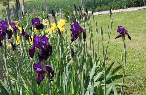 Savignac-sur-Leyze Apartamento | Bouye Gite Accommodation