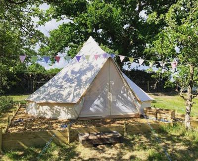 Ottery St Mary Otro | Bowhayes Farm - Camping & Glamping - Bell Tents - Cider Orchard