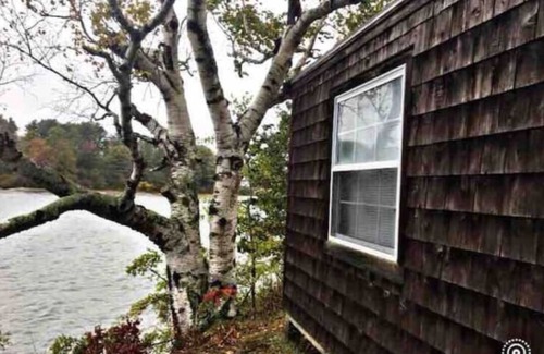 Freeport Cabina | Bowman Island rustic sea cabin/ “glamping” getaway