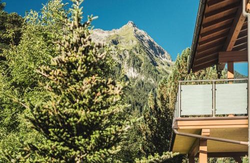 Finkenberg Apartamento | Brückenhof