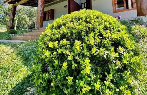 Jurere Internacional Casa | Casa Aconchegante em Jurerê