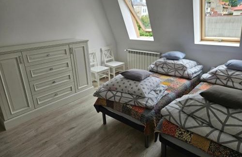Zywiec Apartamento | Bracka Loft