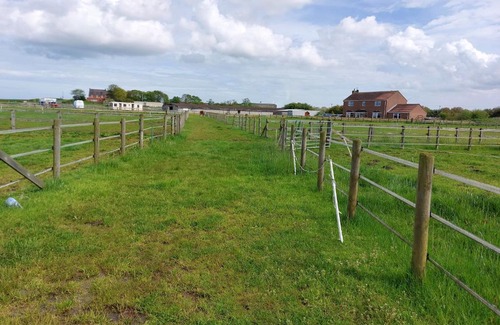 Winestead Otro | Braemar Equestrian, East Riding of Yorkshire