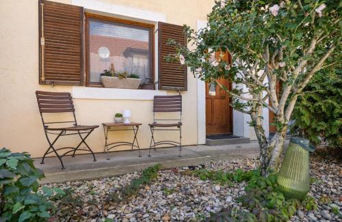 Szentendrei Apartamento | Brancs Rancs
