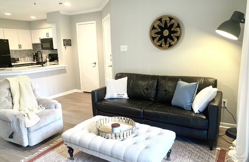 Astrodome Apartamento | Brand New 1BR in the heart of Houston Med Center