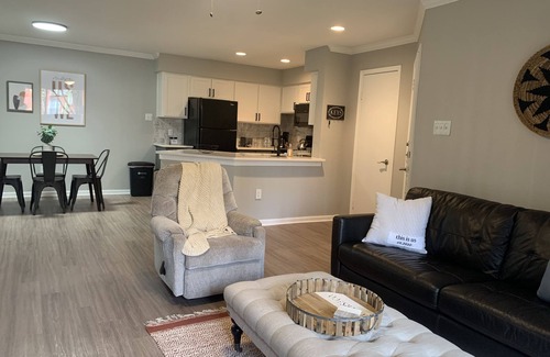 Astrodome Apartamento | Brand New 1BR in the heart of Houston Med Center