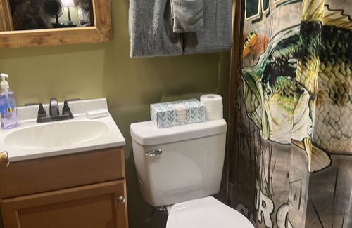 Hinton Cabina | Brand New Cabin on Greenbrier/New Room