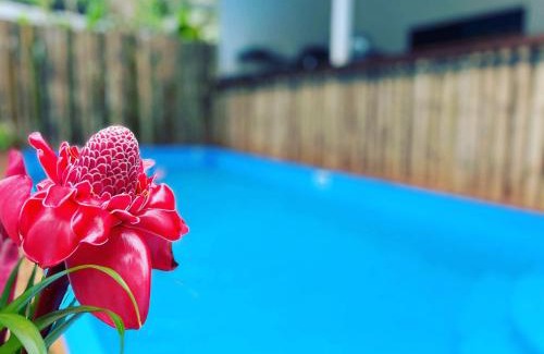 Cocles Apartamento | Brand new huge apt with Air Conditioner and a private pool and kitchen