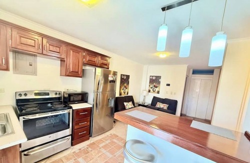 Tegucigalpa Apartamento | Brassavola Suites - Apt 302
