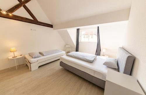 Kenzingen Apartamento | Braviscasa - Ferienresidenz Kenzingen Europa Park