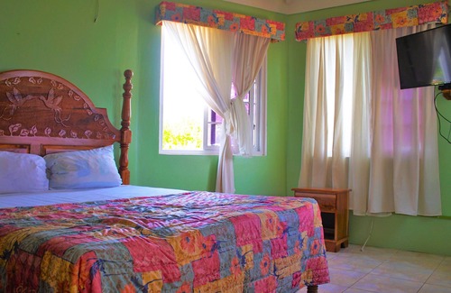 Greenwood Casa | Breathtaking Views Emerald Views!!!! Attention Eco Tourism lovers!!