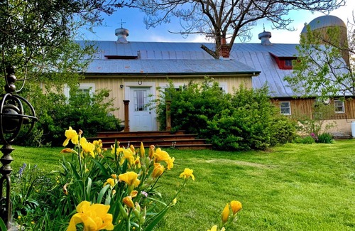 Lexington Cabaña | Breathtaking Views & Cozy Studio