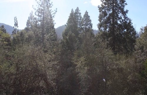 Springville Cabina | Impresionantes vistas de Slate Mountain y el Sequoia National Forest.