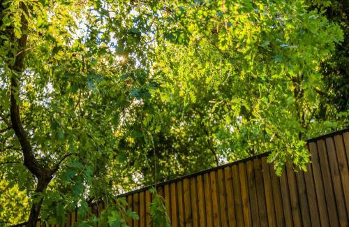 Rade Complejo | Bregu Village Spa