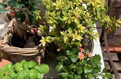 Montemarciano Casa | Brezza Affittacamere