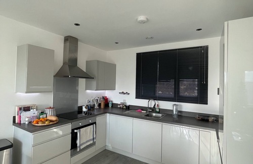 Coldharbour Apartamento | Bright 1BD Flat w/Balcony - Heart of Brixton!