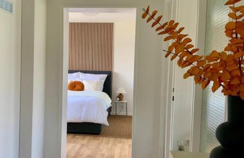 Ludwigshafen-Friesenheim Apartamento | Bright 2BR Family-friendly Home -BASF - Free Parking - Super Fast WIFI