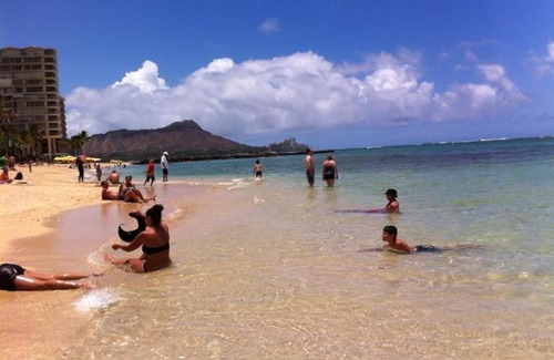 McCully - Moiliili Apartamento | Bright Amazing View Walk Everywhere