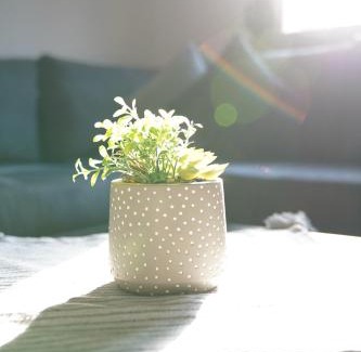 Milea Apartamento | Bright and central apartment