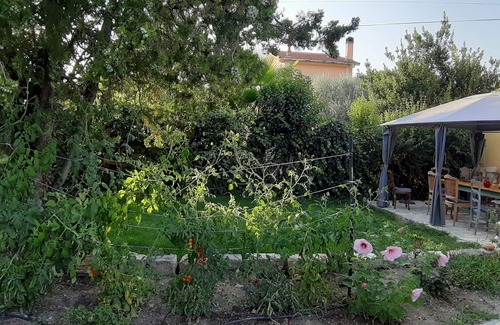 Trans-en-Provence Apartamento | Bright apartment in Provence