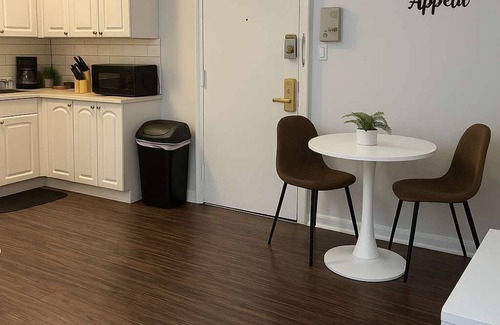 Hyde Park Apartamento | Bright & Cozy 1BR Near UChicago