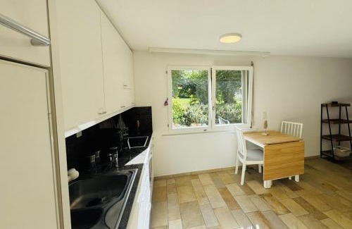 Wurenlos Apartamento | Bright furnished Studio with workspace and garden area near Zurich