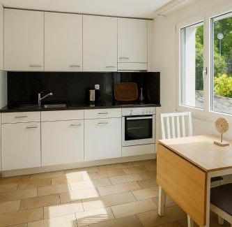 Wurenlos Apartamento | Bright furnished Studio with workspace and garden area near Zurich