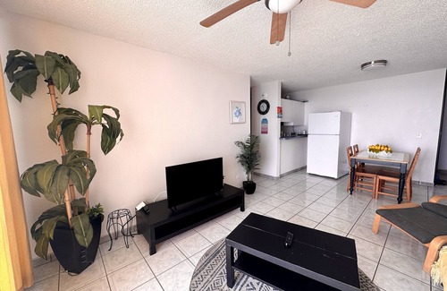 La Pared Apartamento | Bright Ocean View Turtle Nest Apartment