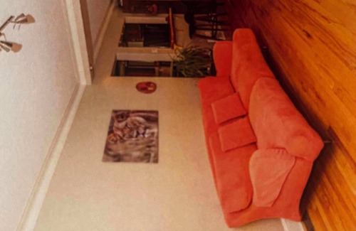 Old Ottawa East Casa | Bright Room in Beautiful Old Ottawa East.nSteps from Canal.nOttawa at its best.