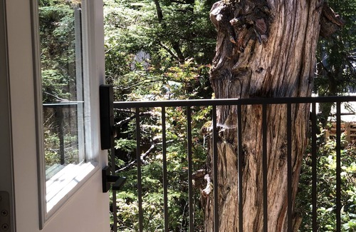 Ucluelet Casa | Bright & spacious 1 bedroom suite by the beach!