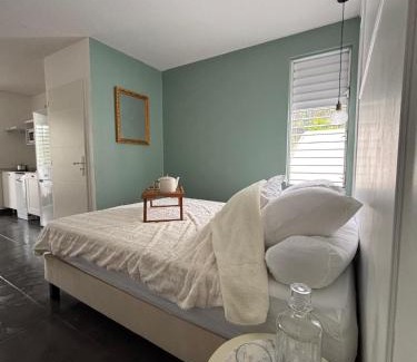 Schoelcher Apartamento | Bright studio in Schoelcher, Wi-Fi, Air conditioning