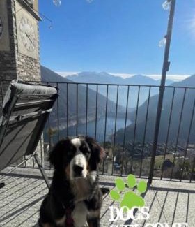 Mergoscia Apartamento | Bright studio with panoramic view of Valle Verzasc
