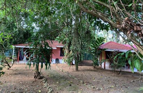 Cahuita Casa | Brigitte's Ranch