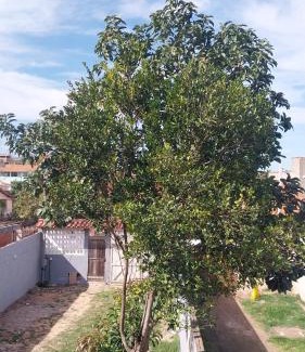 Cidade Nova Casa | Brisa da Laguna