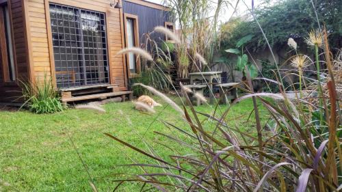 Punta Mogotes Casa | Brisas del Océano