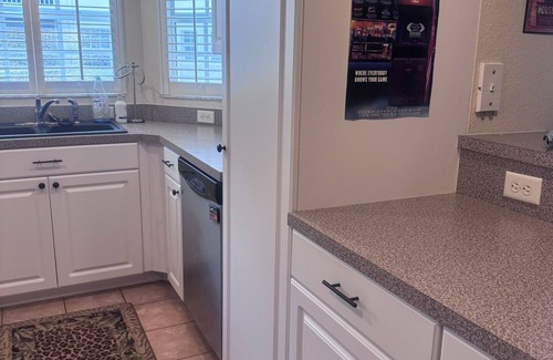 Lutz Condominio | Brithday Suit Suite with WiFi in Paradise Lakes Clothing Optional Complex