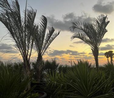 Netanya Villa | Briza