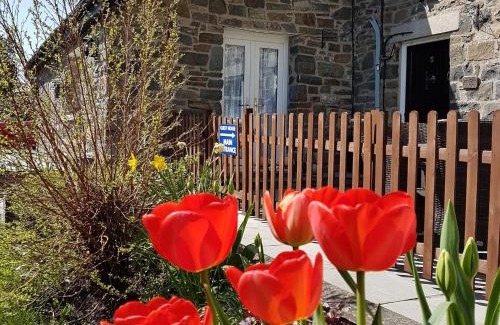 Builth Wells Casa | Bronwye